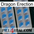 Dragon Erection 23